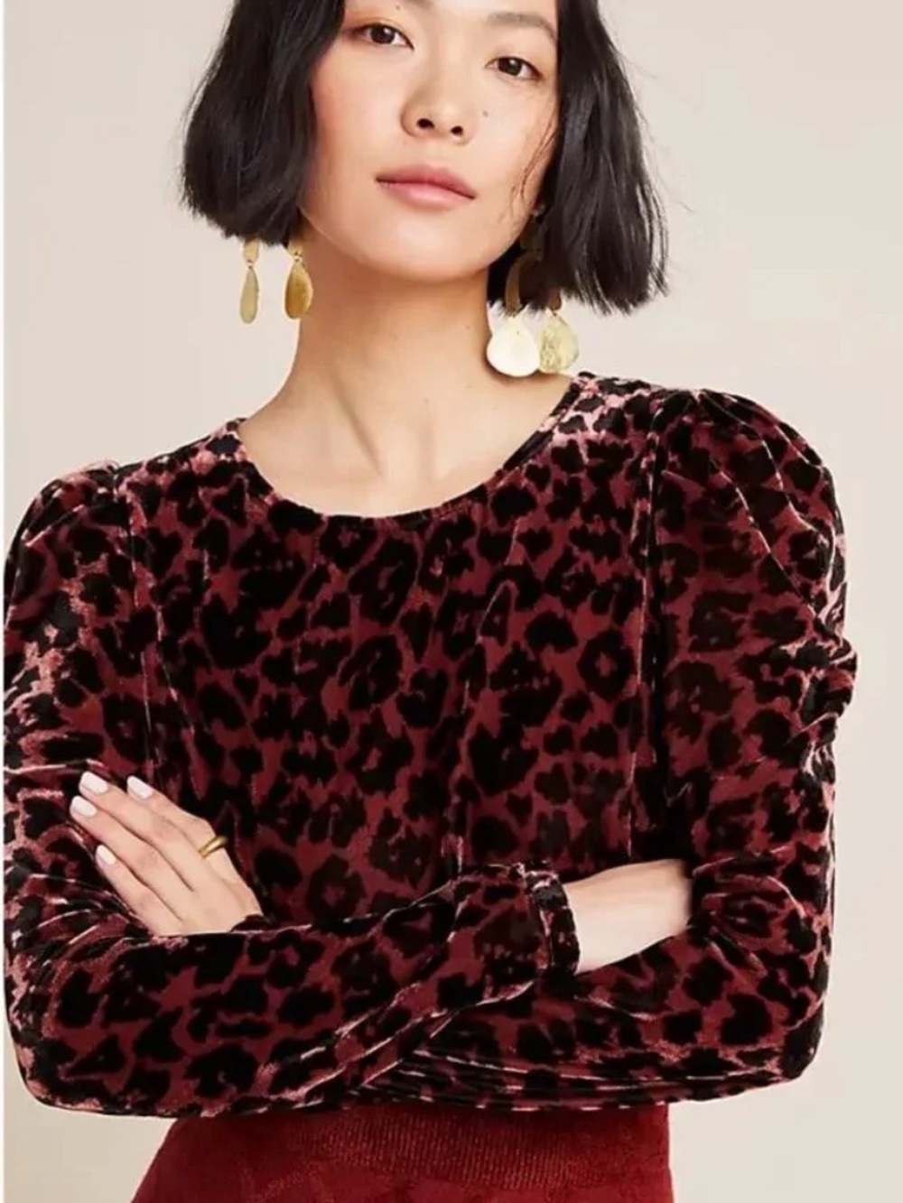 Dolan Leopard Velvet Top Burgundy Animal Print Long puff Sleeve Size S blouse